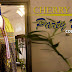 Cherry Wrap Party Wear Collection 2014 | Fancy Embroidered Suits | Party Wear Gowns