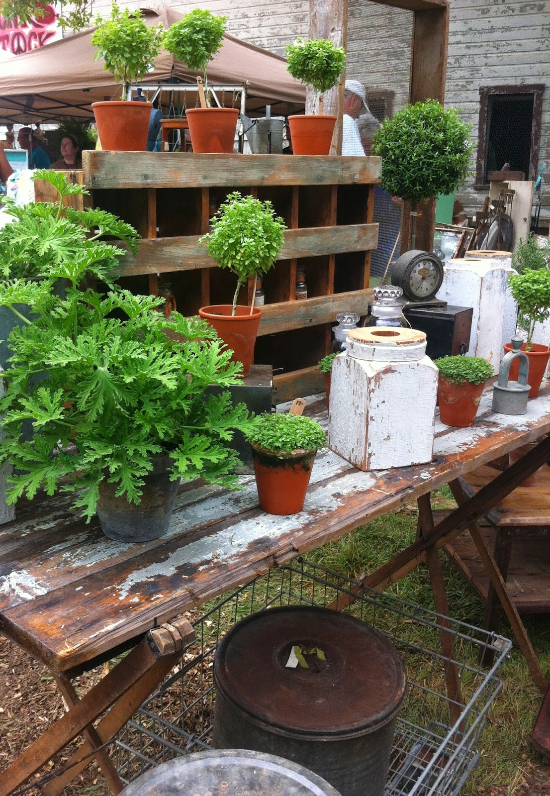 Just Another Hang Up A Picker's Paradise...