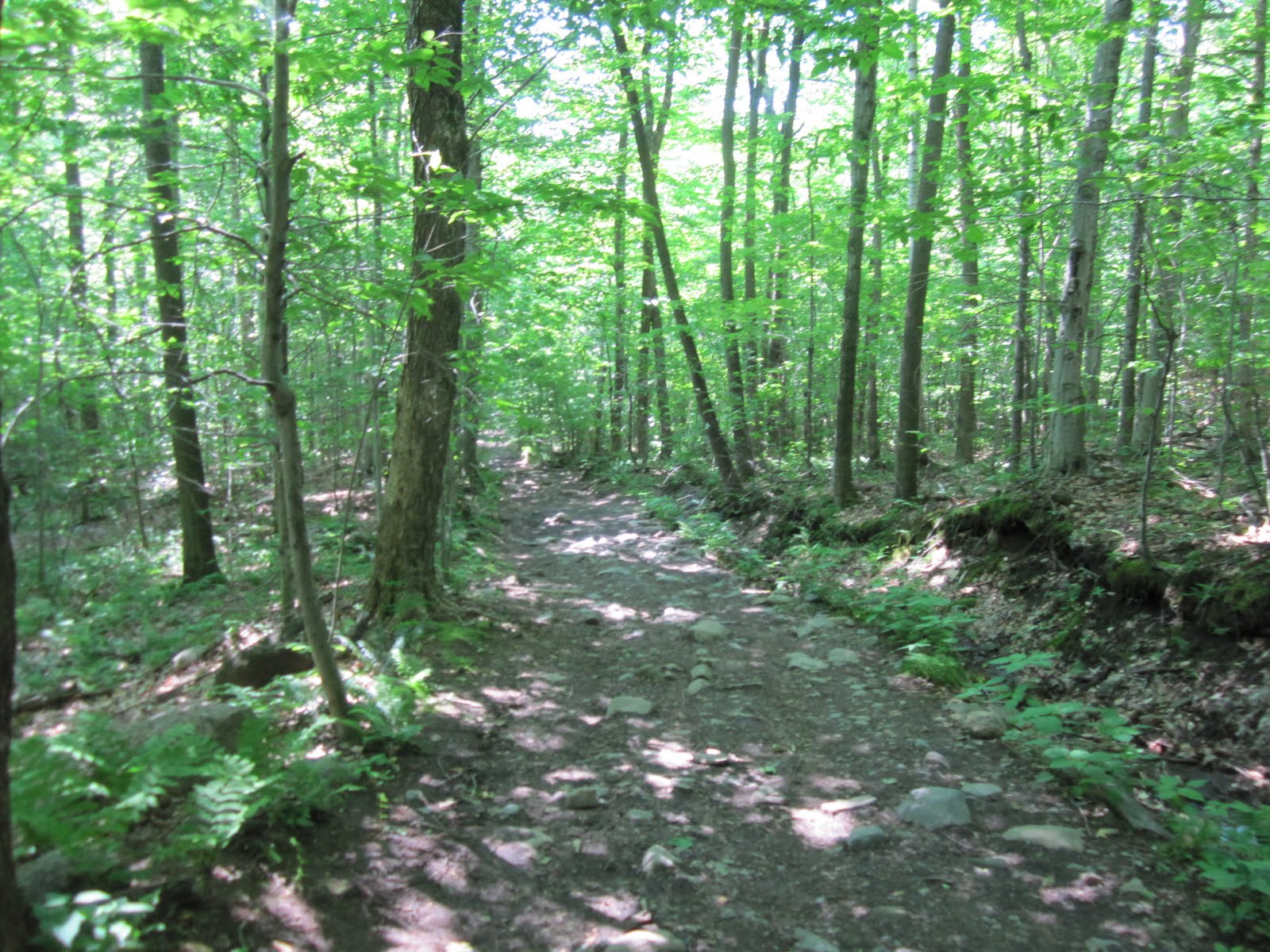 Asthma and the Gift of Running Mont StHilaire...lovely trails!