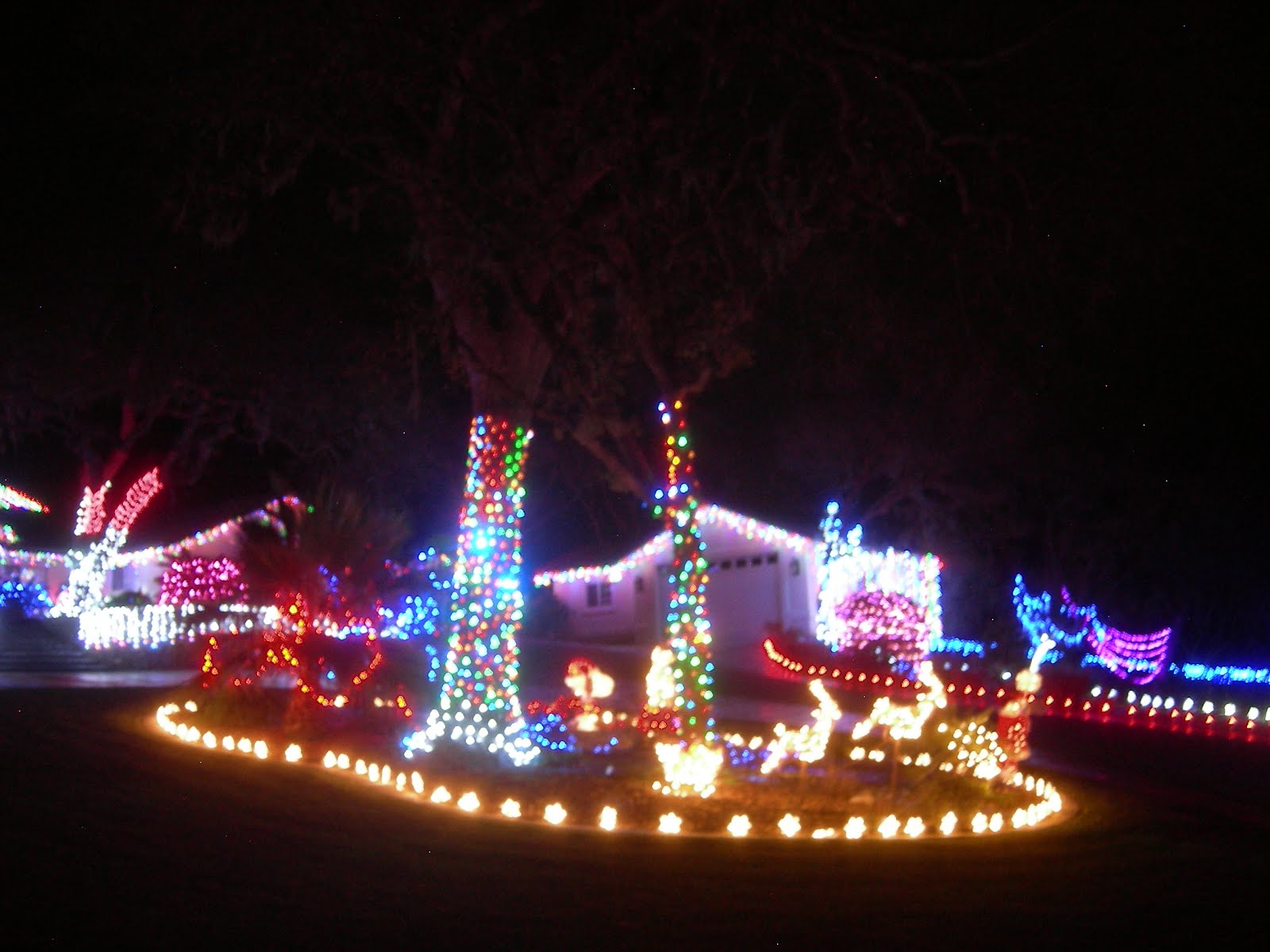 Eclectic Arcania Best Christmas Light Display In Atascadero 2012