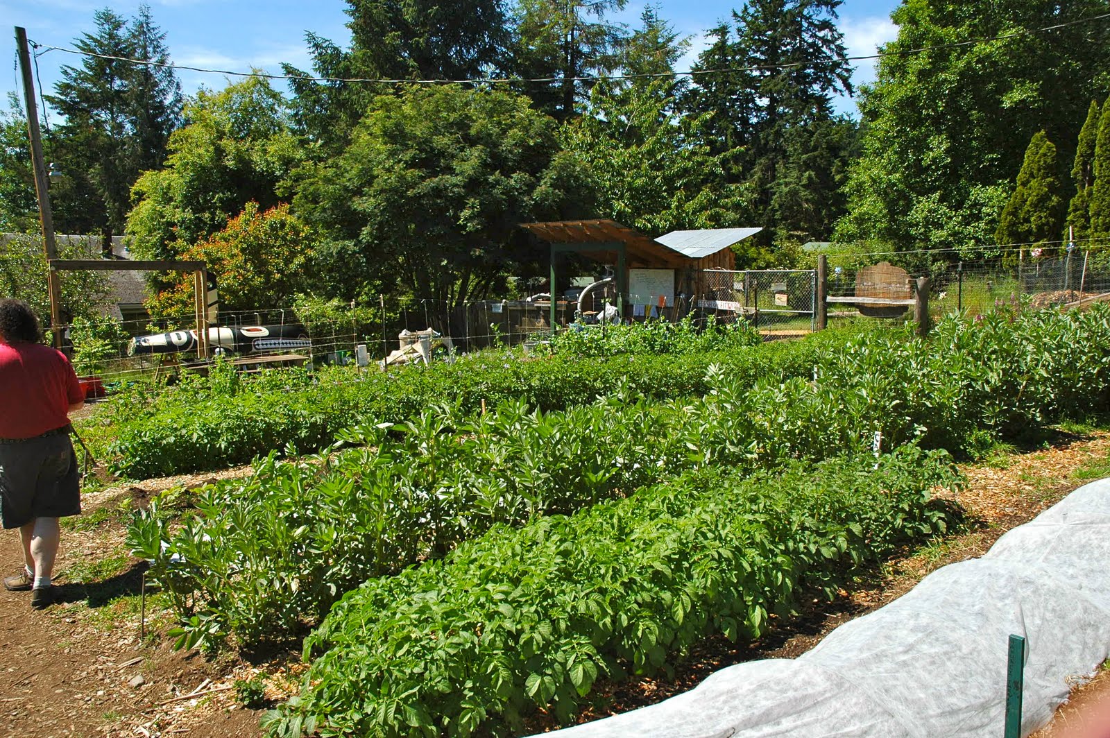 The Prep Cook Project Orcas Tour Doe Bay, Salmon and Oysters
