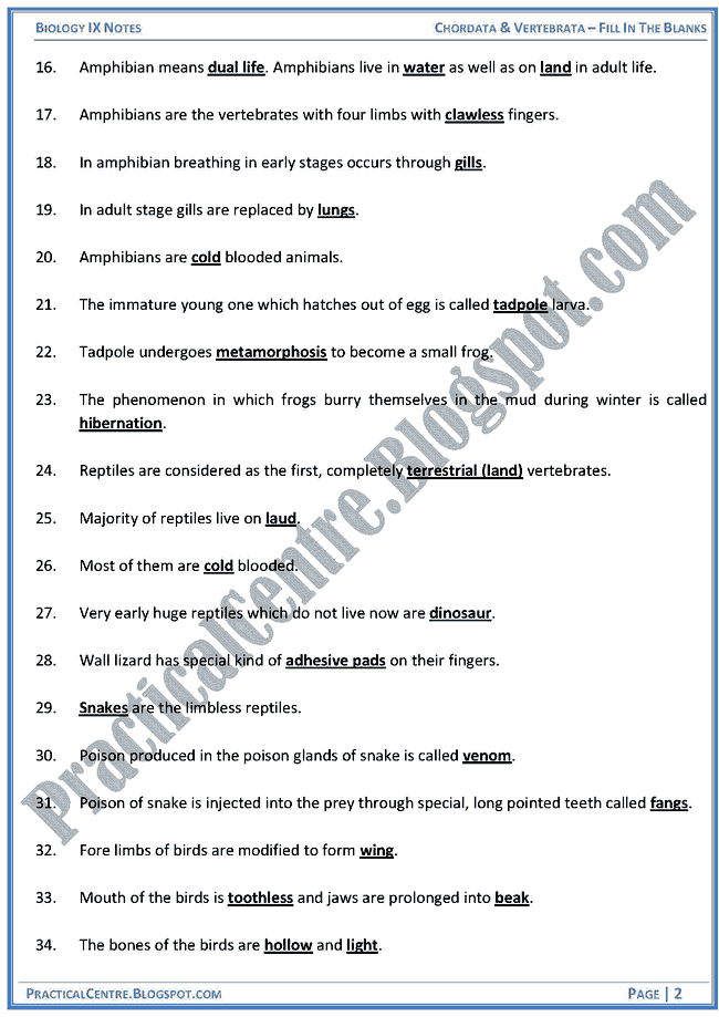 chordata-and-vertebrata-blanks-biology-ix