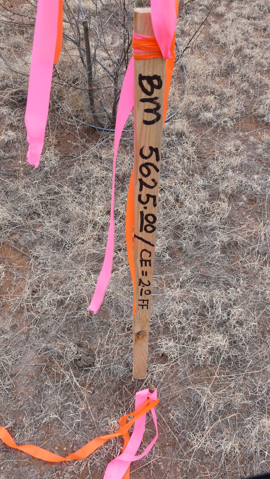 BRUGGEMANN GUEST STUDIO PASSIVE SOLAR STRAWBALE DESIGN + BUILD