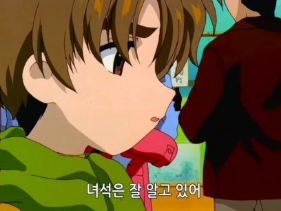 [카드캡터체리] 체리를 향한 샤오랑의 감정변화 | 인스티즈