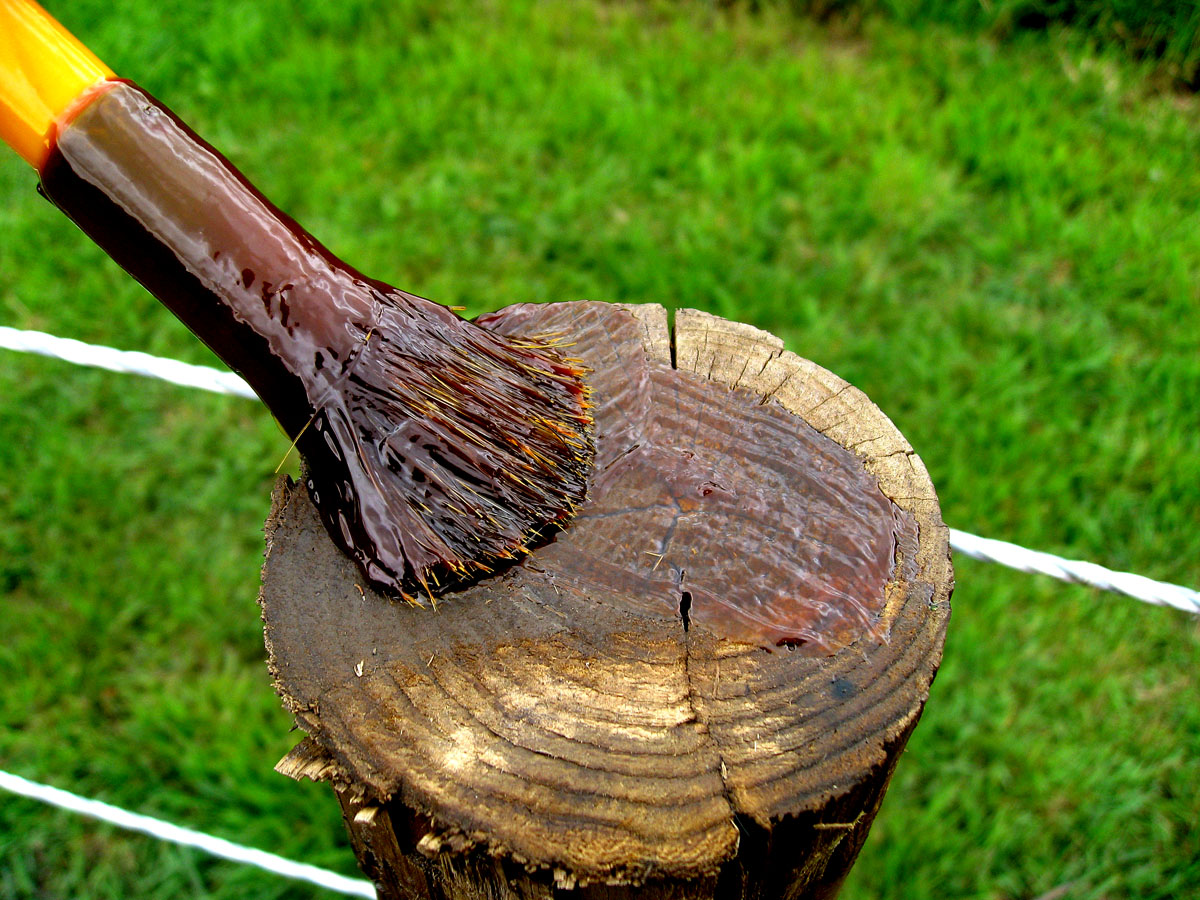 My Equestrian World Stopping a Cribber