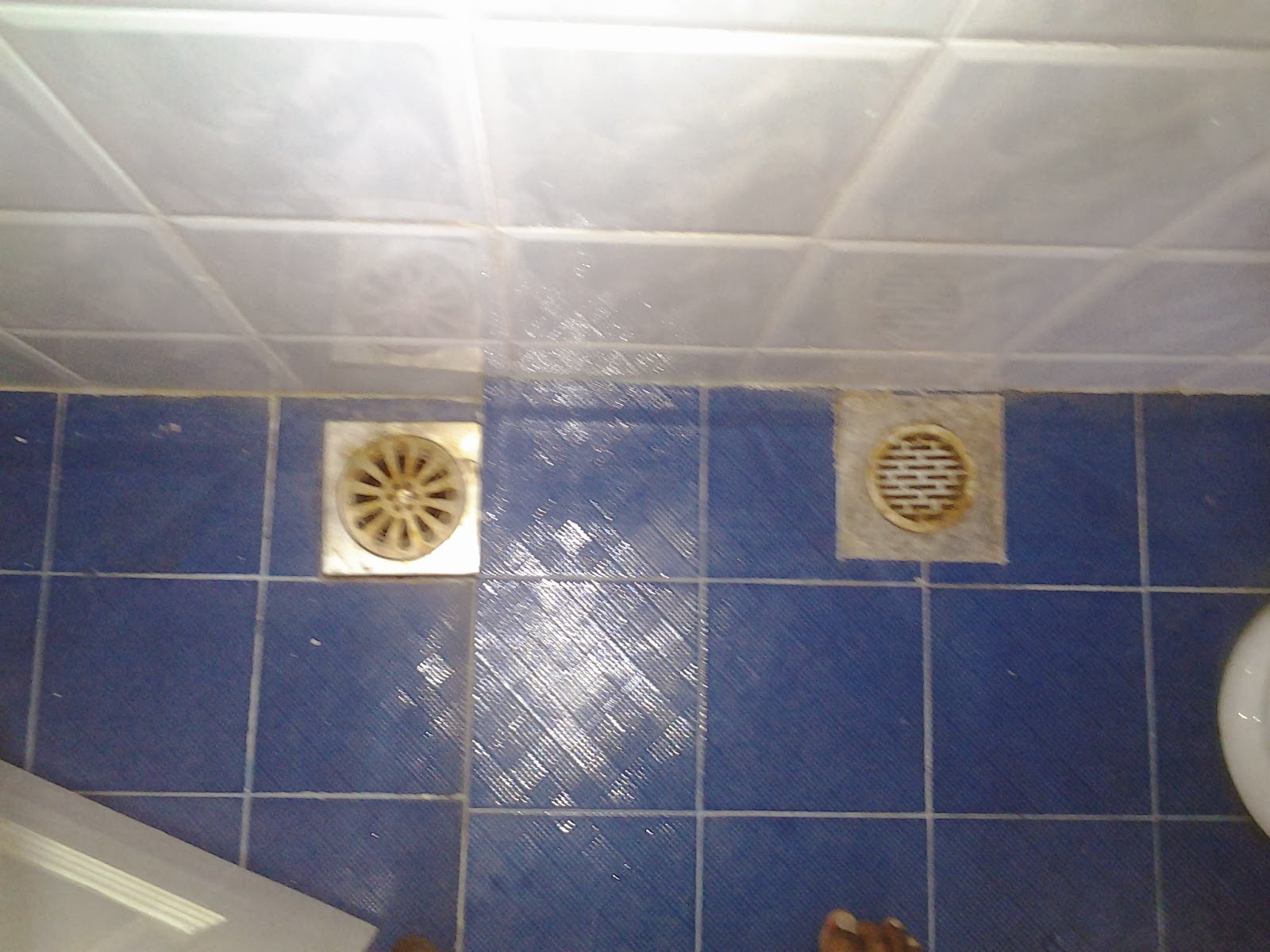 Manhole Dalam Rumah Tersumbat Wayne Harraz