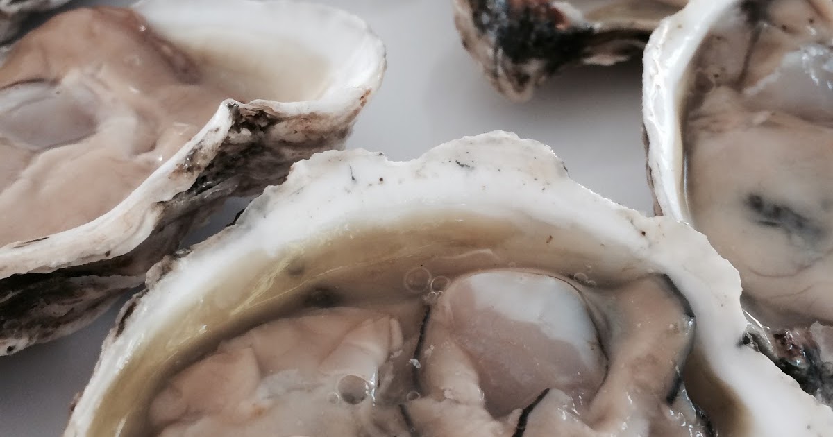 Do You Really Know What You're Eating? Freshly shucked New Jersey