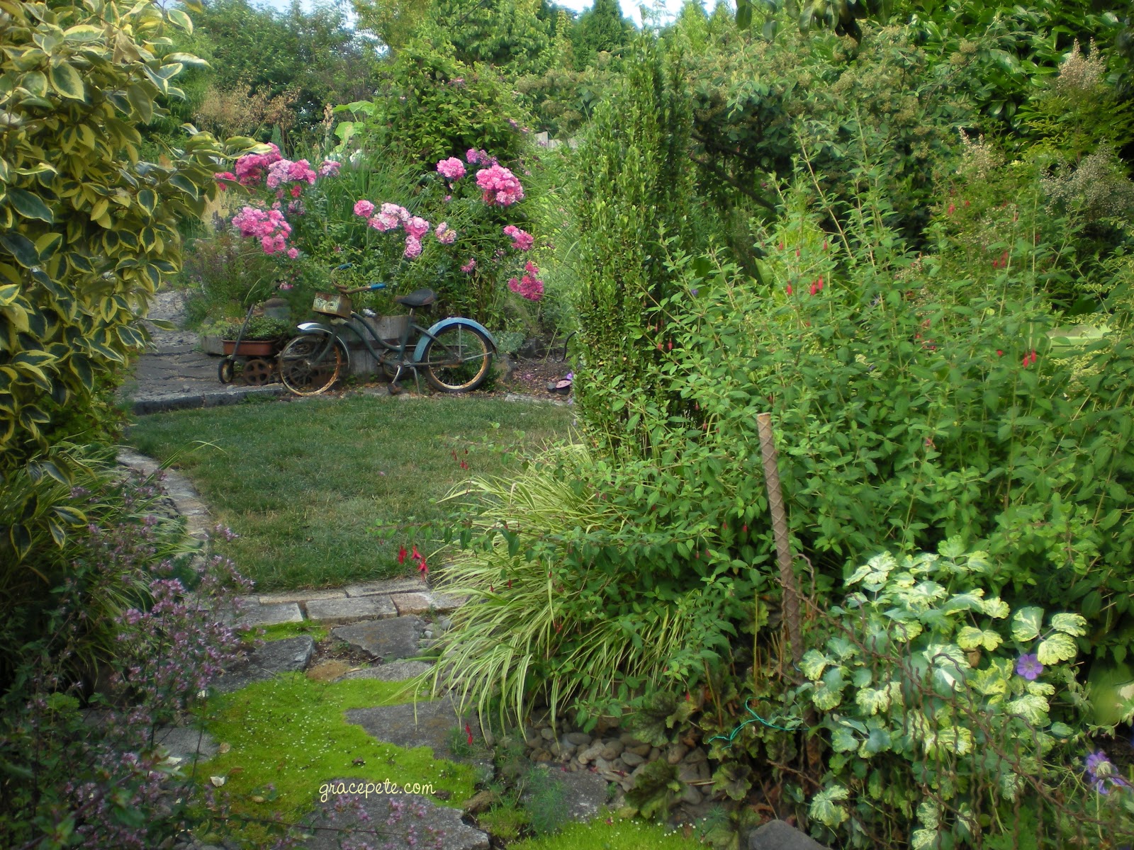 Gardening With Grace The Garden in July