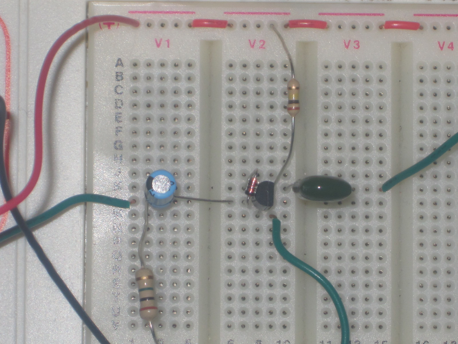 Dylan Palme's D.I.Y.: Bazz Fuss