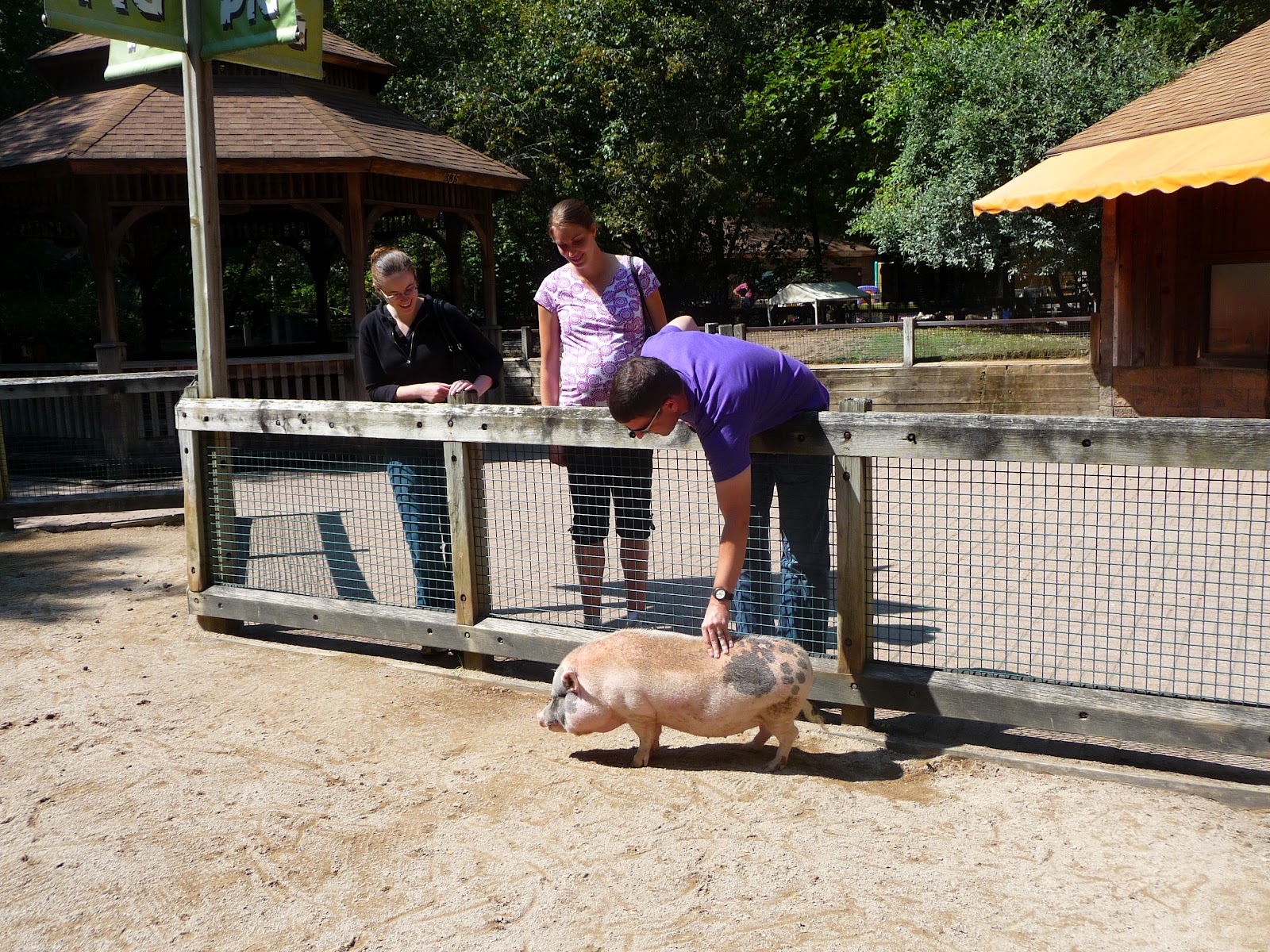 America to Tanzania and Back Again Binder Park Zoo