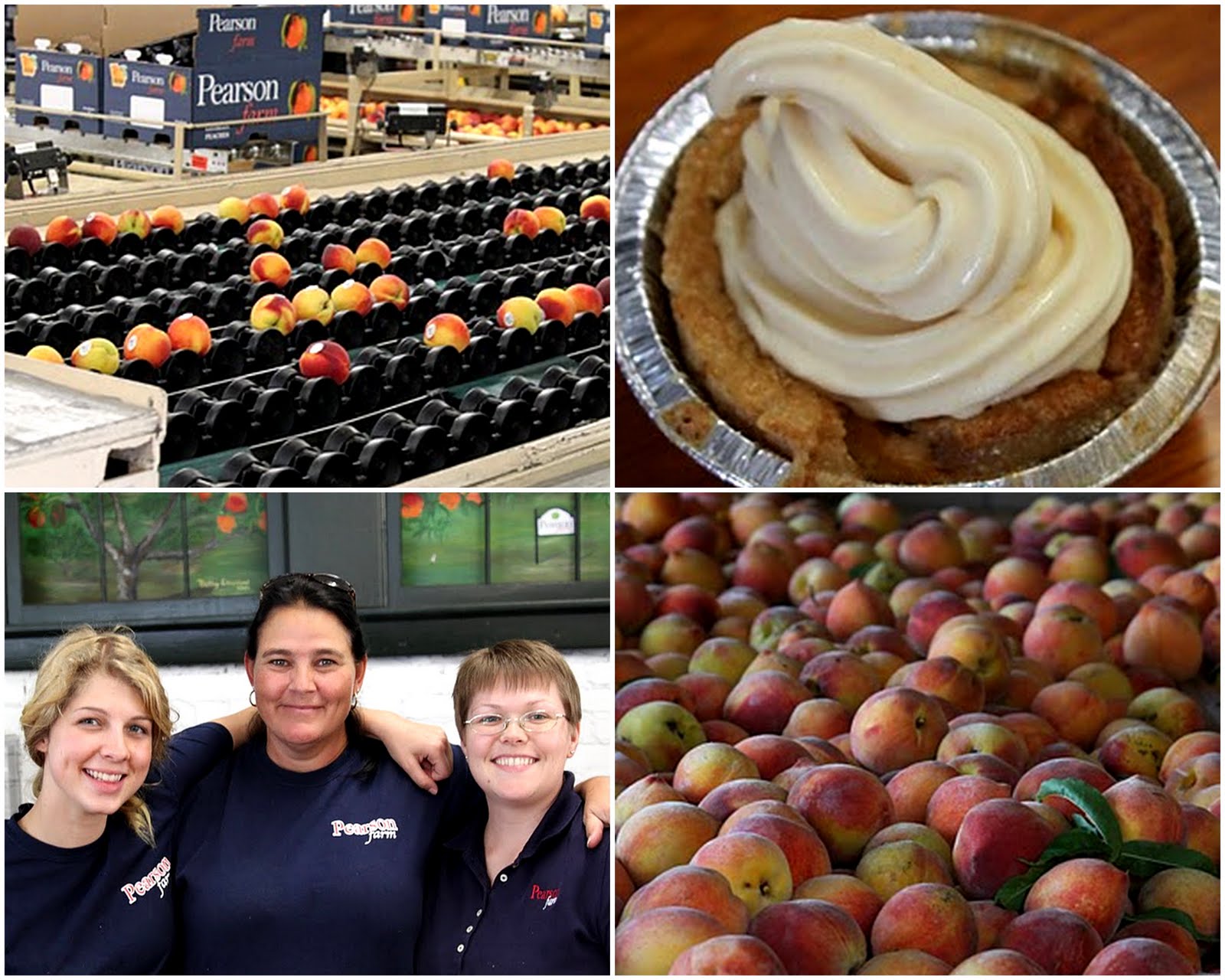 All Things Farmer Pearson Farm A Peach of a Place