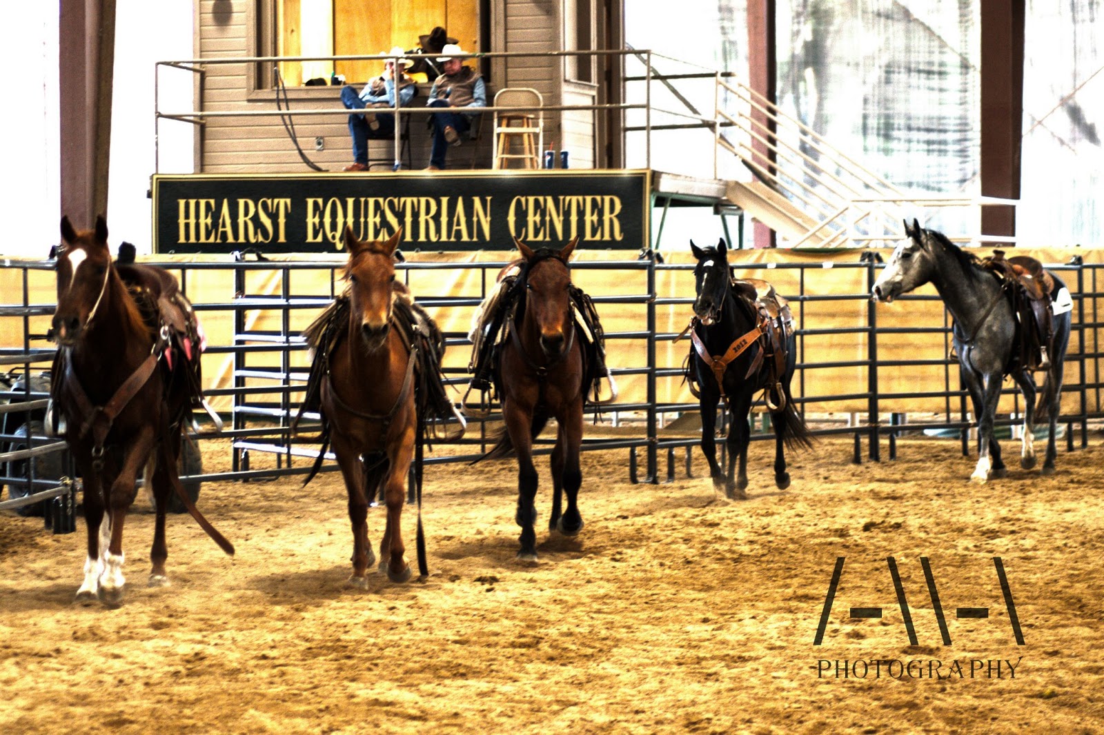 Buckaroo Leather Horse Tack, Use, Care and Maintenance The Rawhide