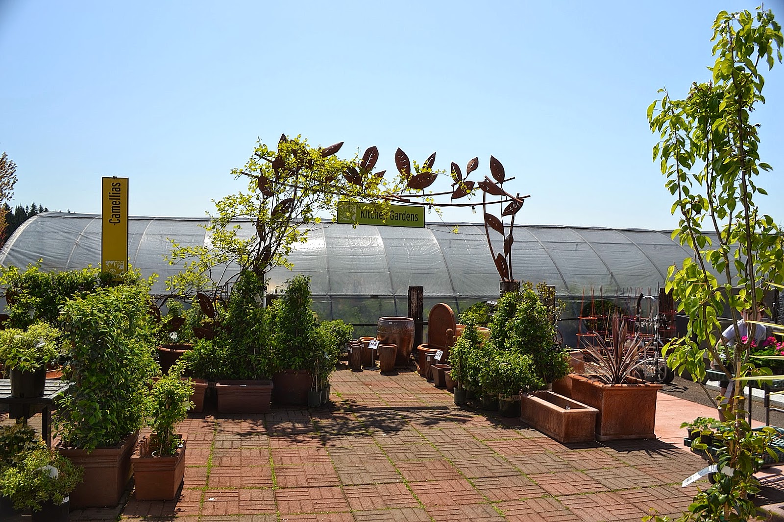 The Outlaw Gardener Visiting Cornell Farm Nursery in Portland