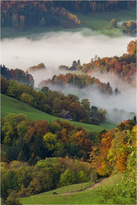 gratis partnervermittlung schweiz kassensturz