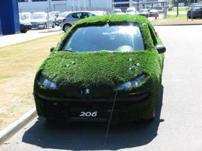 Car Covered with Grass