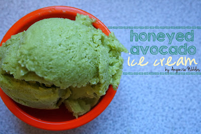 Honeyed Avocado Ice Cream from www.anyonita-nibbles.com