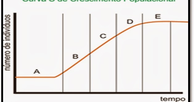 A cirurgia plástica aumenta em um pênis