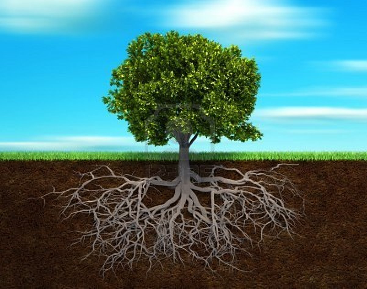 Hubungan Aqidah, Syariah dan Akhlak Kamar Hukum