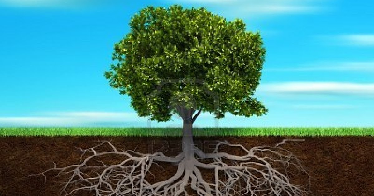 Hubungan Aqidah, Syariah dan Akhlak Kamar Hukum