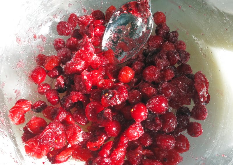 Learning to Eat AllergyFree How to Make Your Own Dried Cranberries