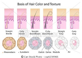 The Fashionable You Be Kind To Your Hair