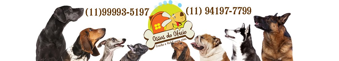 Ossos do Ofício - Hotel e Creche para Cachorros