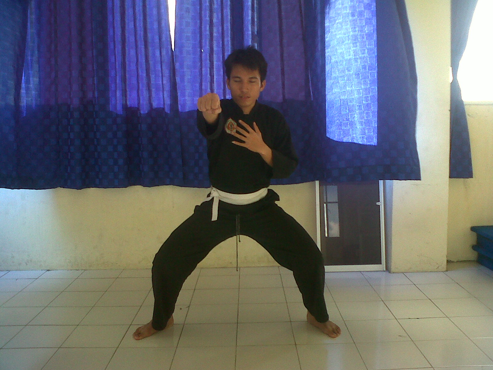 Pencak Silat Dasar Pencak Silat Dasar Pencak Silat Dasar Pencak Silat Dasar
