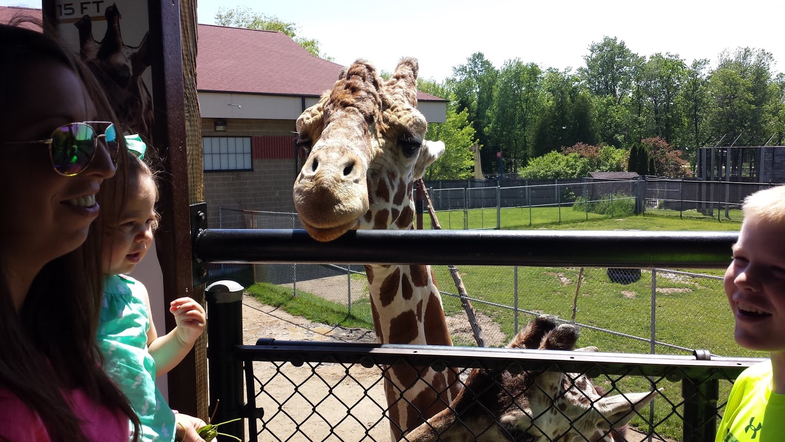 Graceful Touch Green Bay's New Zoo