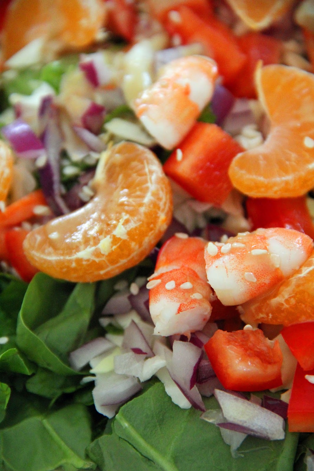 Jo and Sue Asian Inspired Prawn Salad With Sesame Dressing