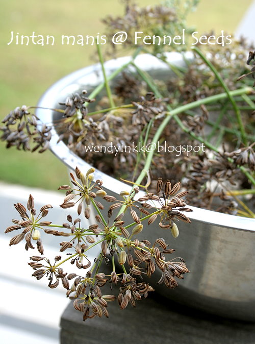 Gambar Jintan Manis