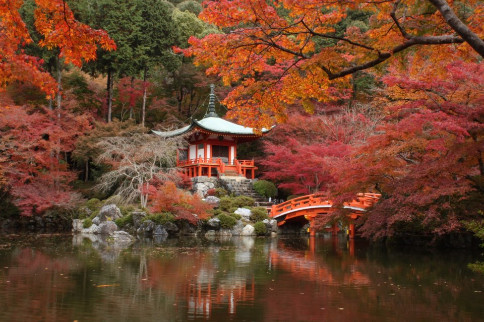 eastcoastlife: Colours of Fall in Japan - PhotoHunt