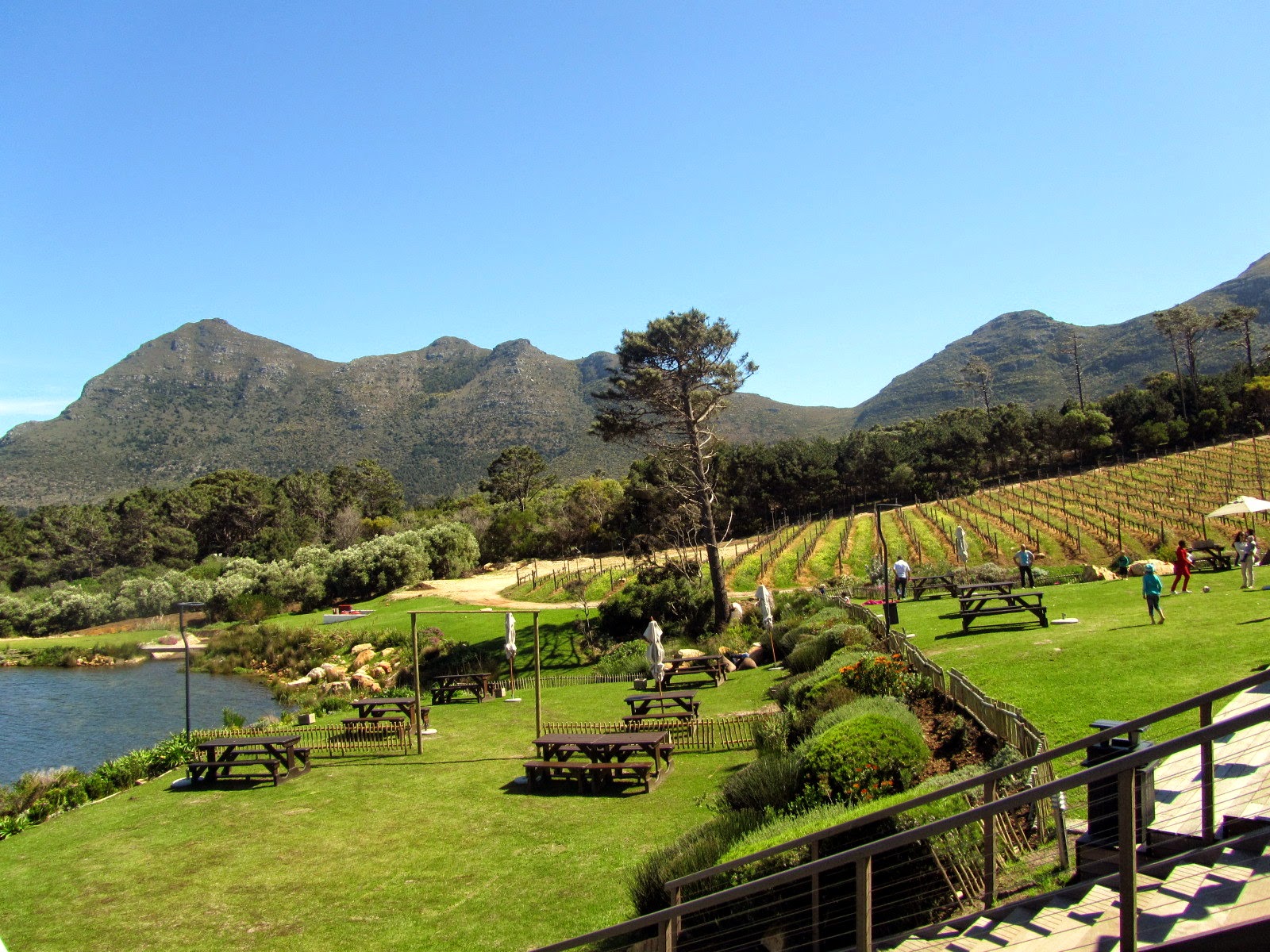 love hearts & food Cape Point Vineyard