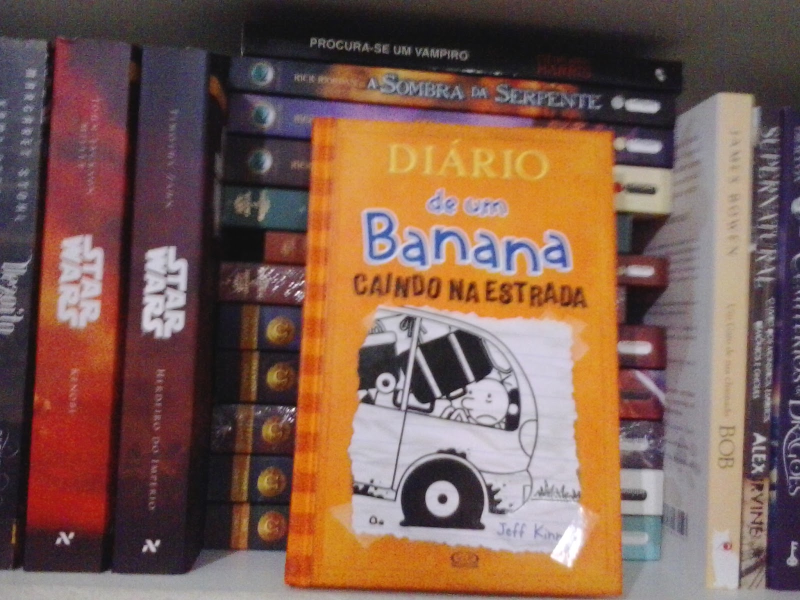 Diário de um banana - caindo na estrada