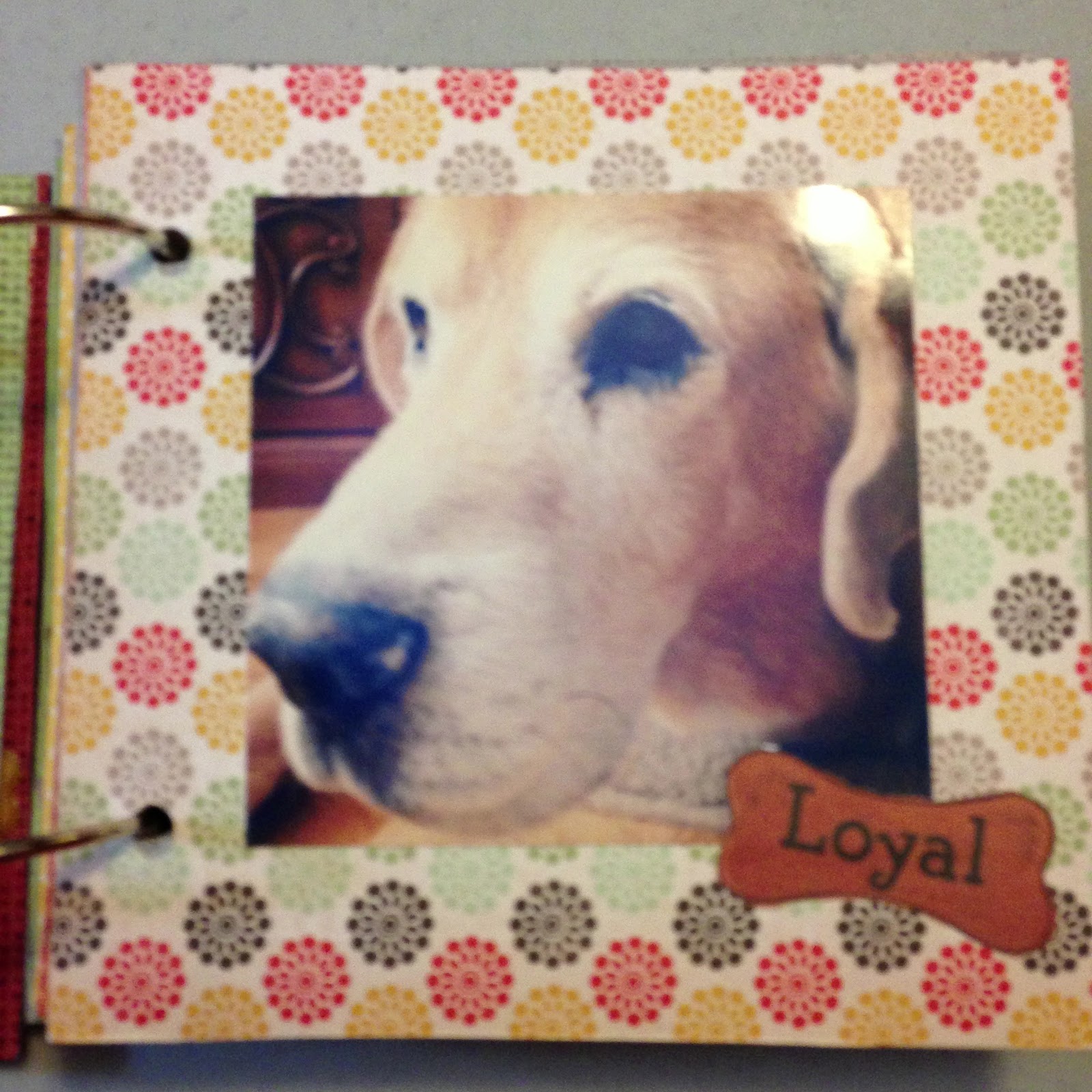 Mrs Crafty Adams Scrapbooking a Mini Book for a pet