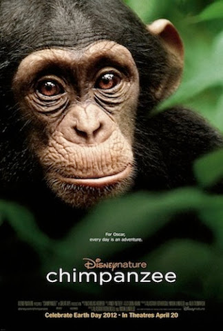 Chimpanzee-HD