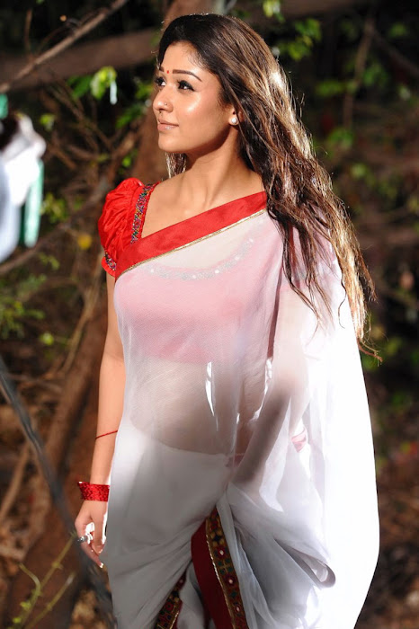 nayanthara in saree spicy actress pics