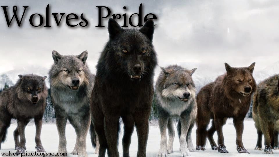 Wolves Pride