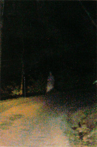 Real Ghost Photo: Ghost Soldier photographed at Devil's Den