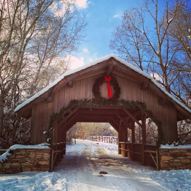 Mistletoe meadows Moore Minutes: December 2013
