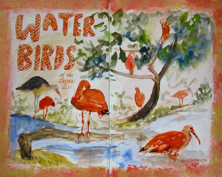 Hudson Valley Sketches: Water Birds at the Bronx Zoo