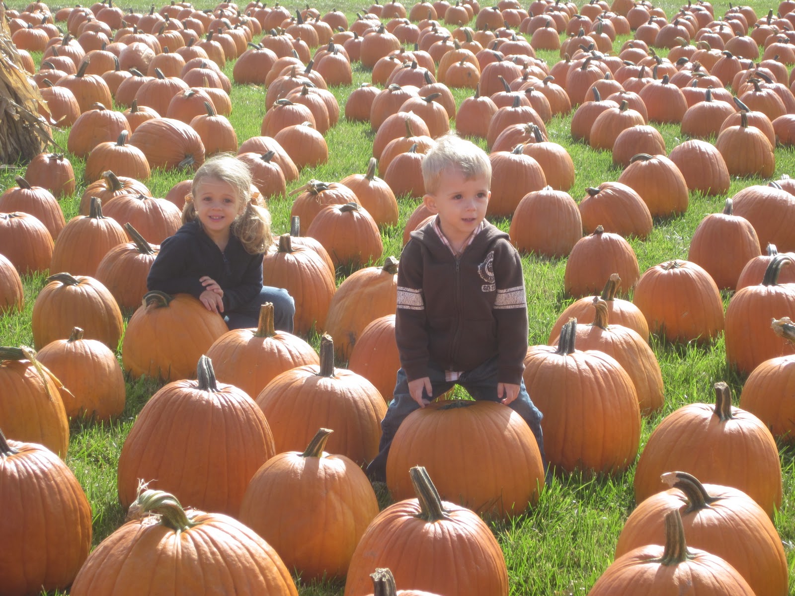 Embellishing Life trip to the pumpkin farm