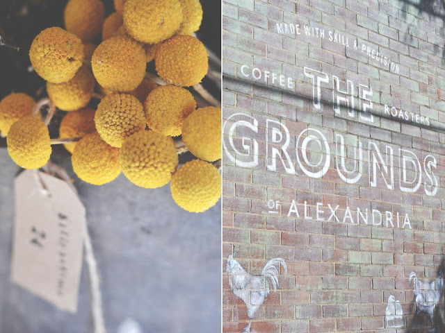 The grounds Alexandria