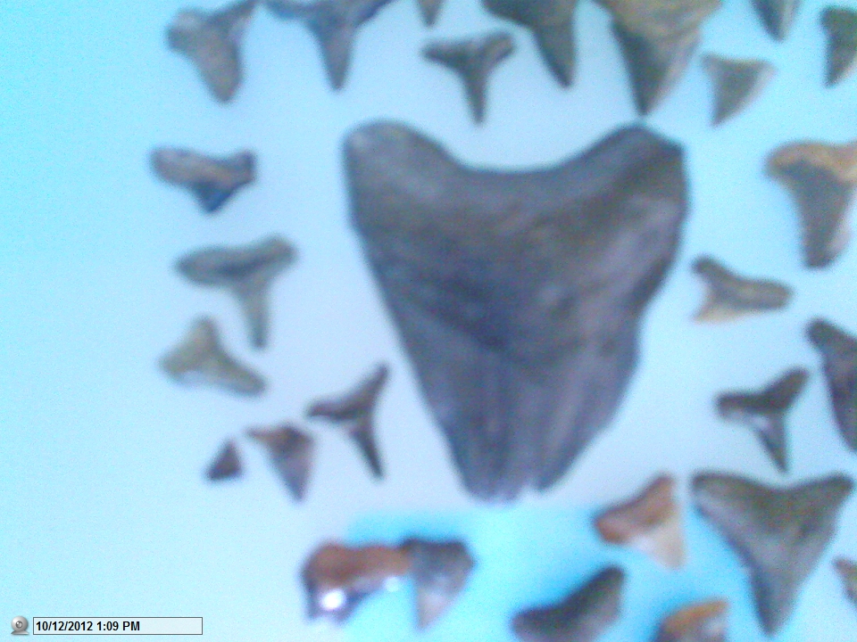 Megalodon Shark Attack