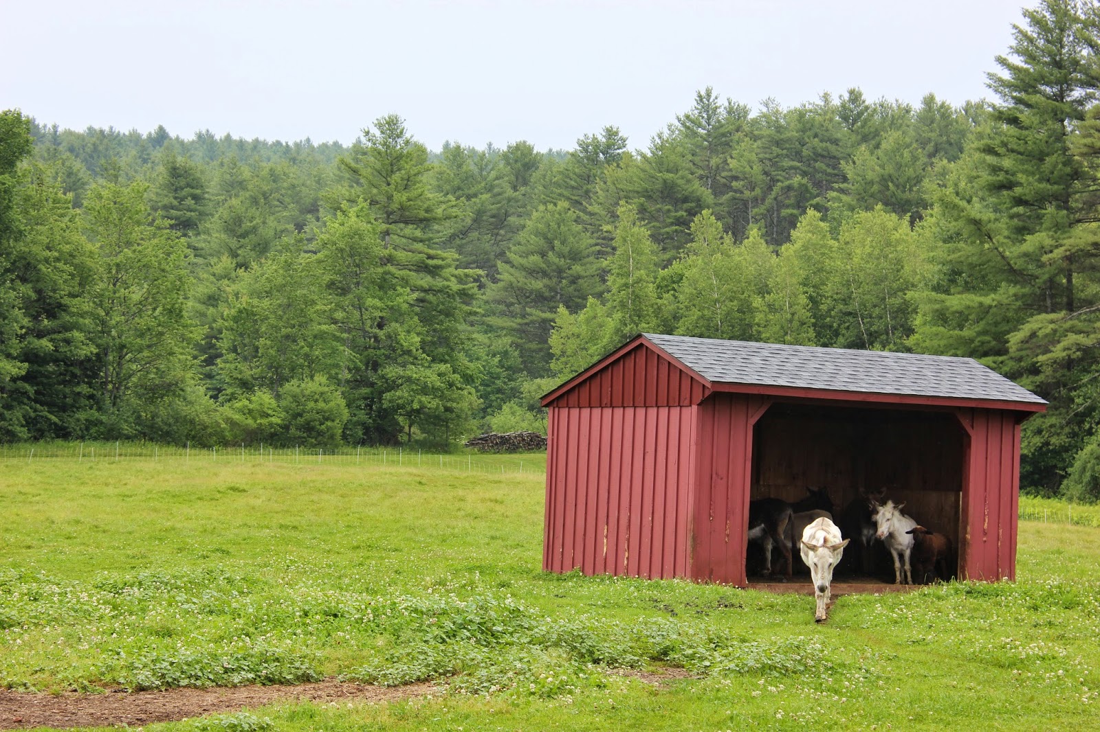 Cornerstone Retreat Sanctuary Dairy Farm Sunapee Nh