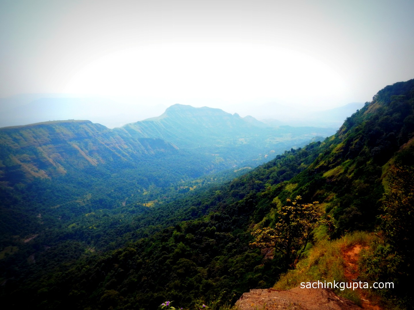 Jungle on Top Matheran Part2 LENS (Like, Enjoy, Navigate, Share)
