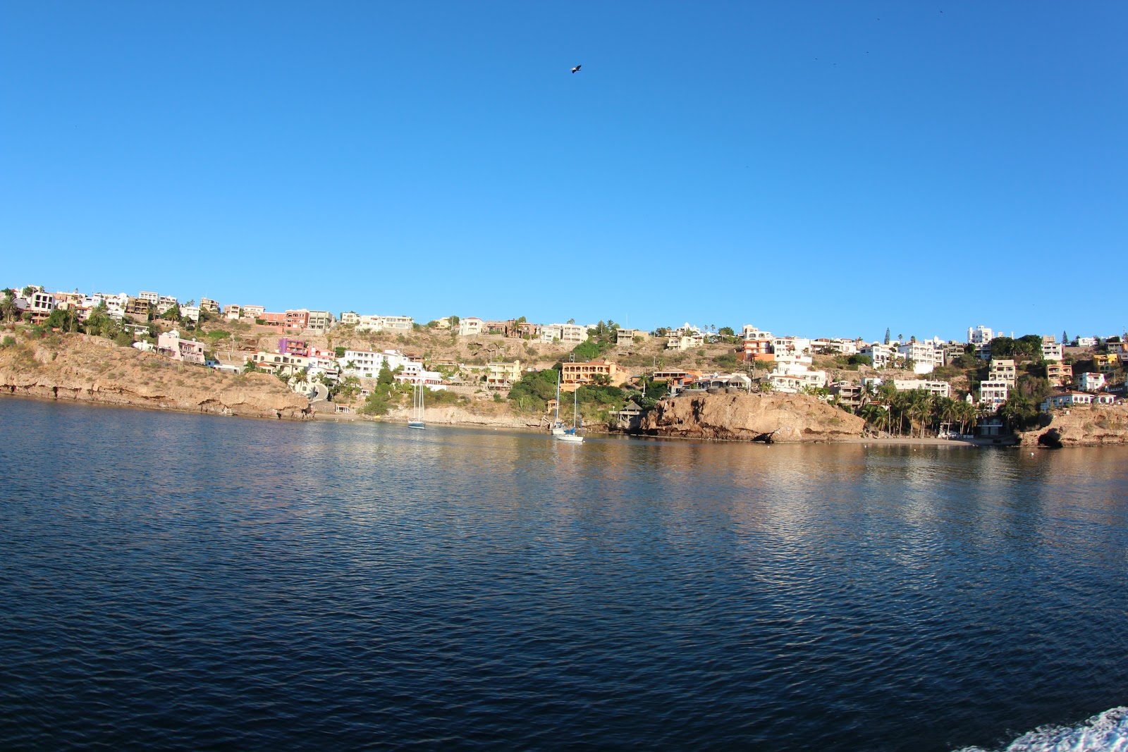 Orange County Dive and Photo, Dive Shop Sales Service Travel with PADI