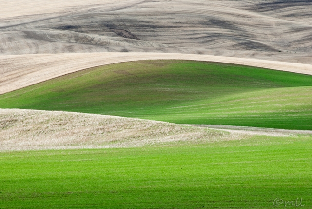 Waves of Green