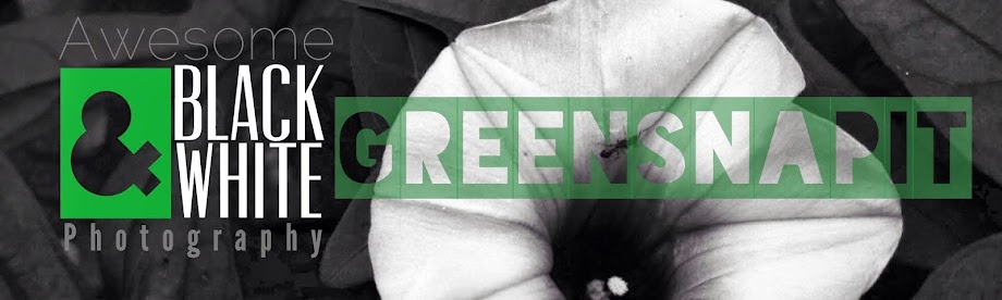 GreenSnapit | Free Black & White Stock Photos