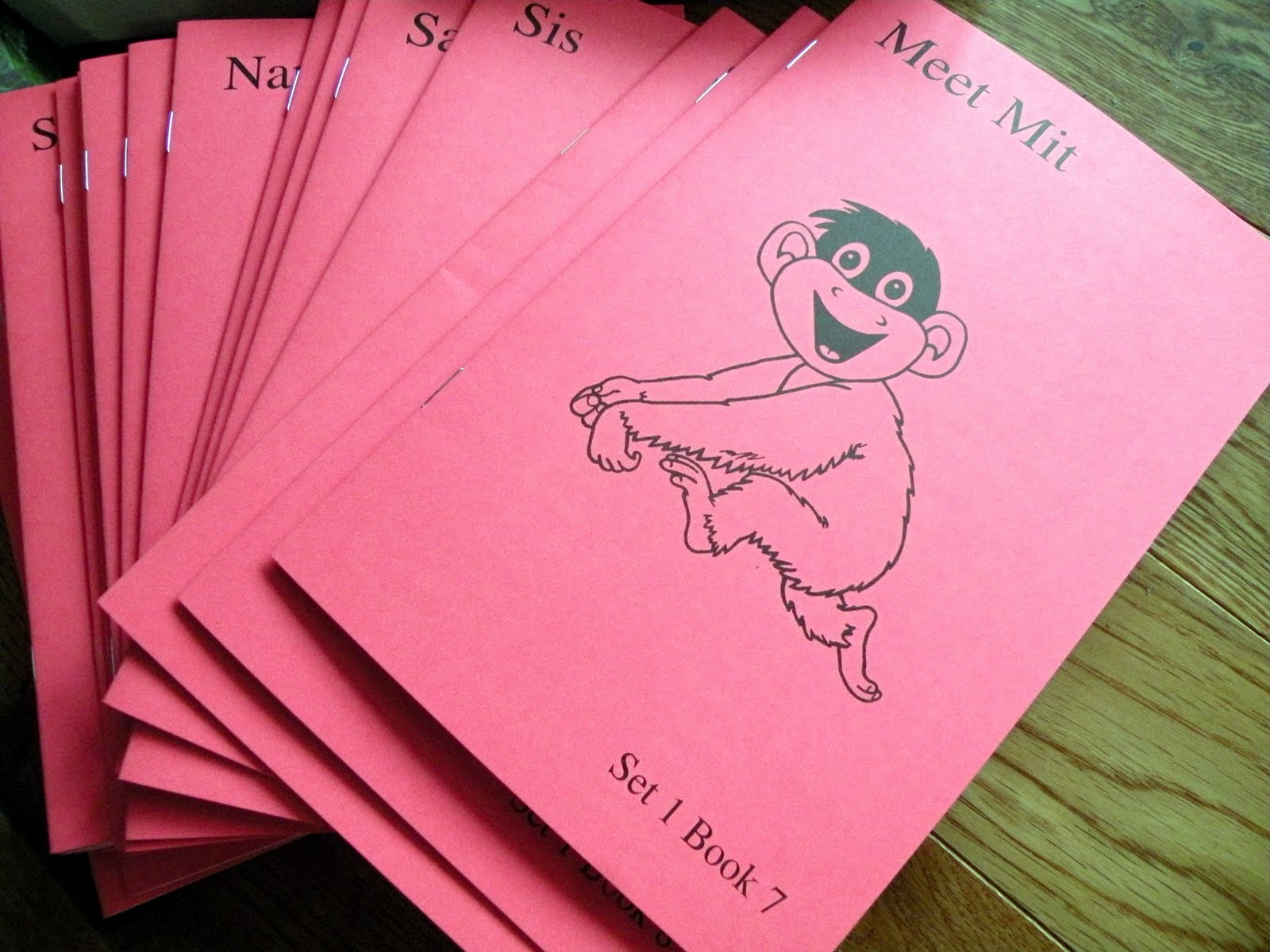 The Fantastic Five TOS Review I See Sam (Academic Success for All