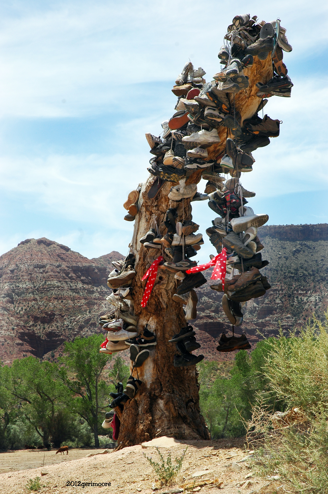 Happy Trails SHOE TREE